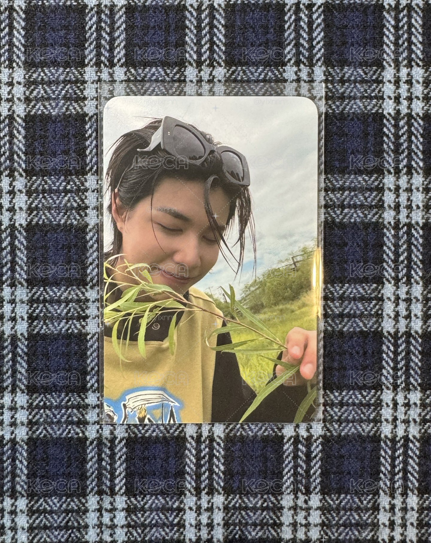 🦞路易貼紙書小卡
