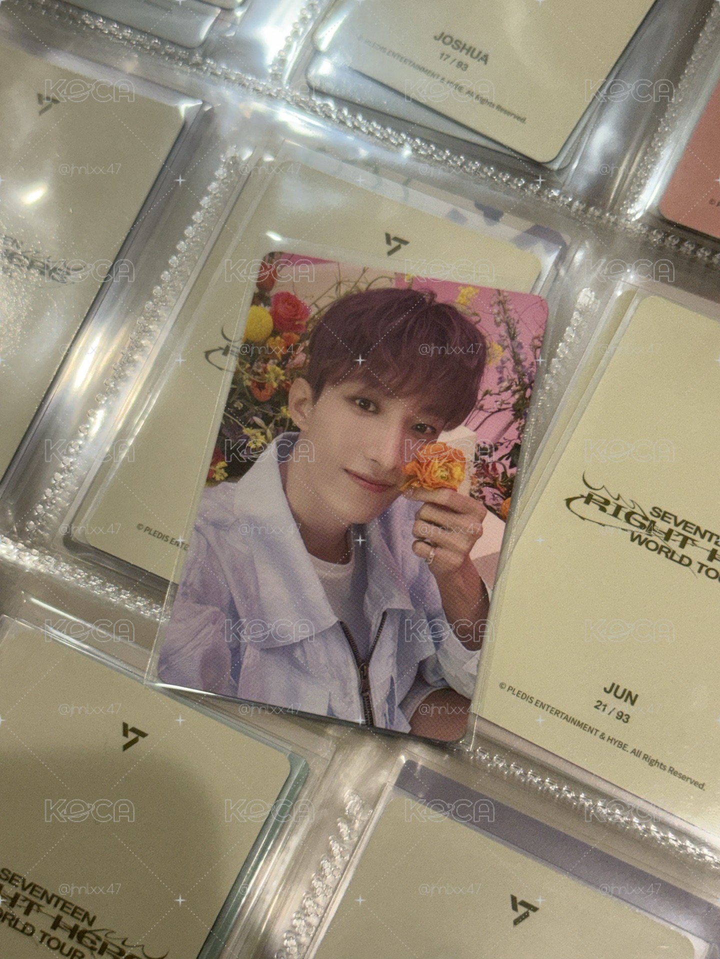 日專拿花碩