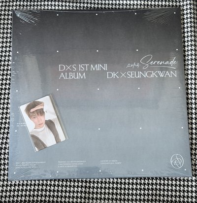 （現貨 紙箱包裝 可當日寄出）seventeen DxS wvs特典 黑膠唱片