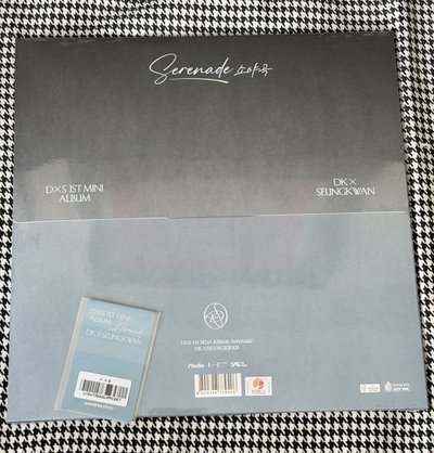 （現貨 紙箱包裝 可當日寄出）seventeen DxS wvs特典 黑膠唱片