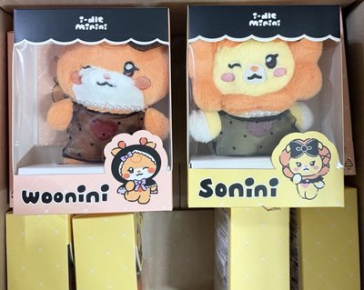 現貨）i-dle 迷八快閃盒娃 全新未拆 女娃