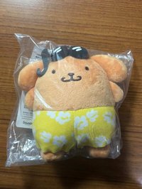 曬黑墨鏡布丁狗