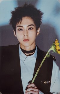 PANTONE 護照夾 周邊卡 