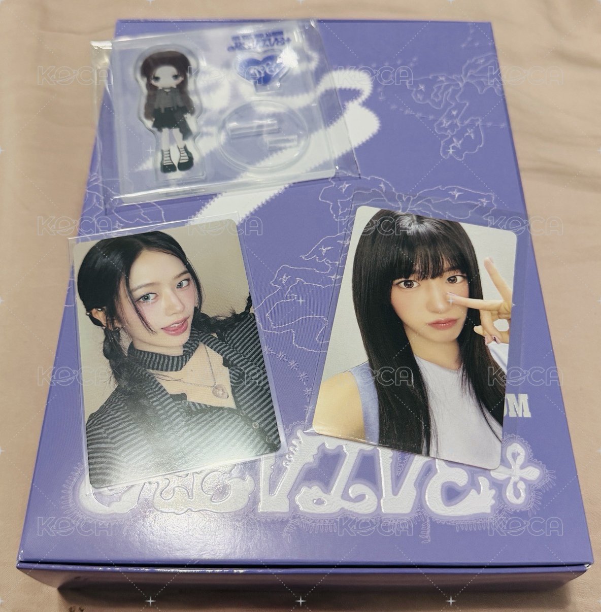安全專+安MS特典