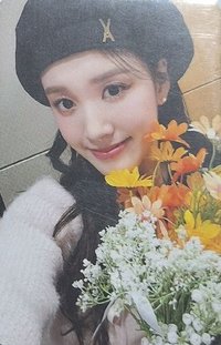 泰迪熊 ms 拿花 特典卡 