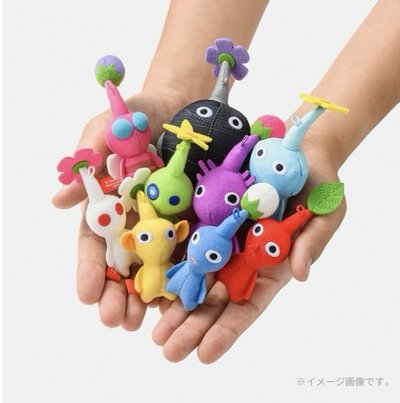 Search image