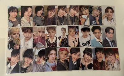 可愛貓比找新家