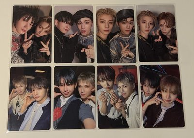 可愛貓比找新家