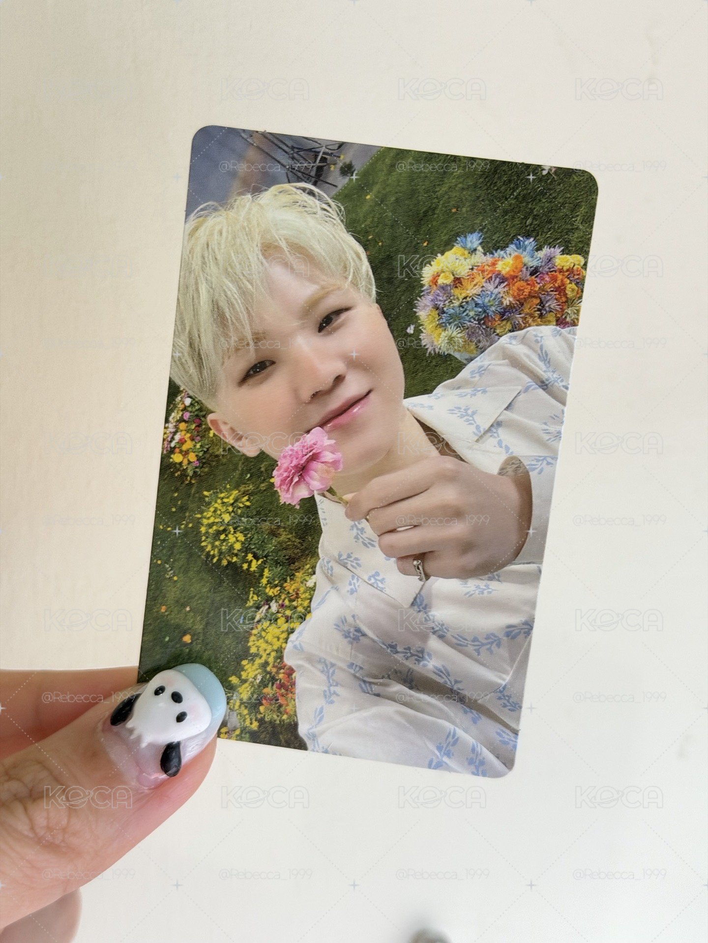 woozi 電子專小卡