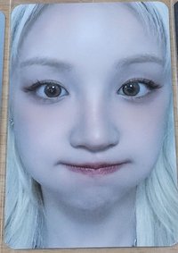 台灣第一輪/雨琦