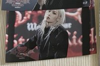 紅底菲（需綁）