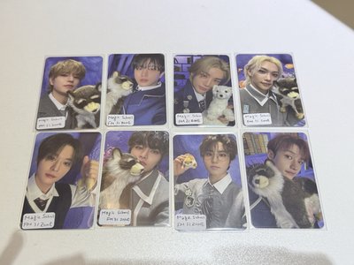 Stray Kids Magic School Fanmeeting Stay Zone全禮（燦）