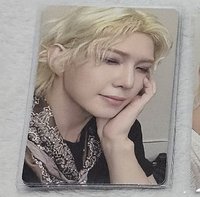 ✨️第二週不會wink的杜賓