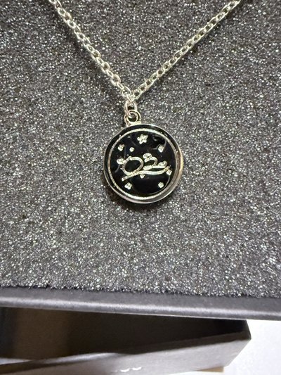 Stray Kids 5-STAR NECKLACK方燦