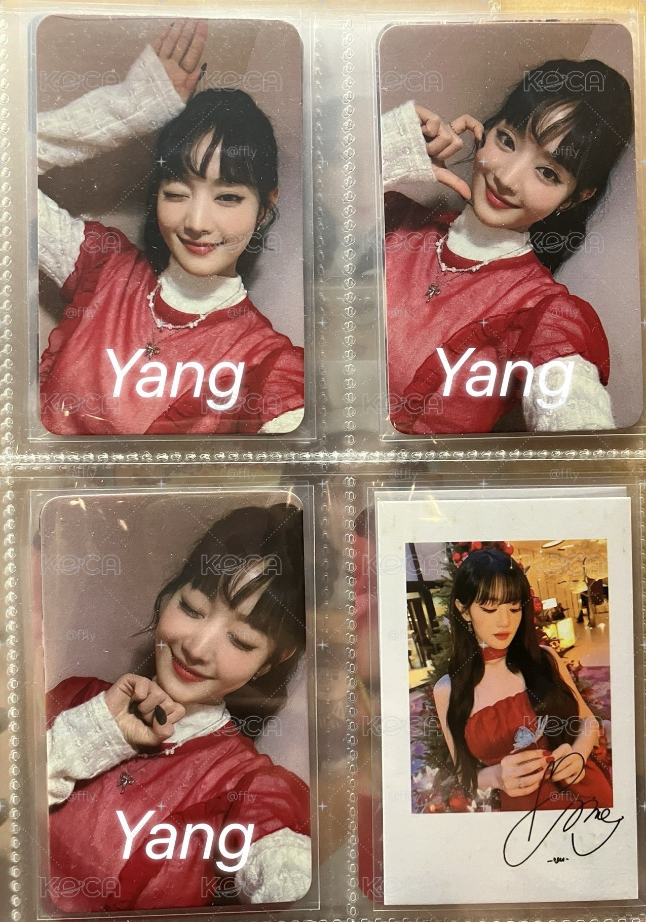 妮lo Bandina 2.0 特典卡一套