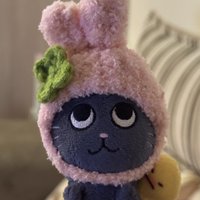 wonb1nii（來財我要回血版）