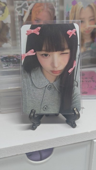 wm6.0蝴蝶結.蝴蝶怜