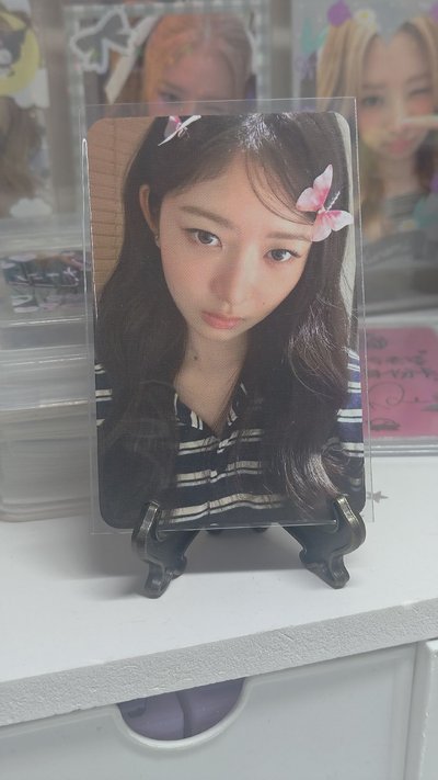 wm6.0蝴蝶結.蝴蝶怜