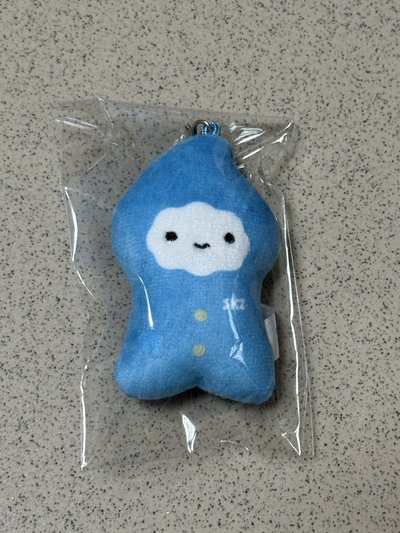 StrayKids 5期會員禮set、四格、娃