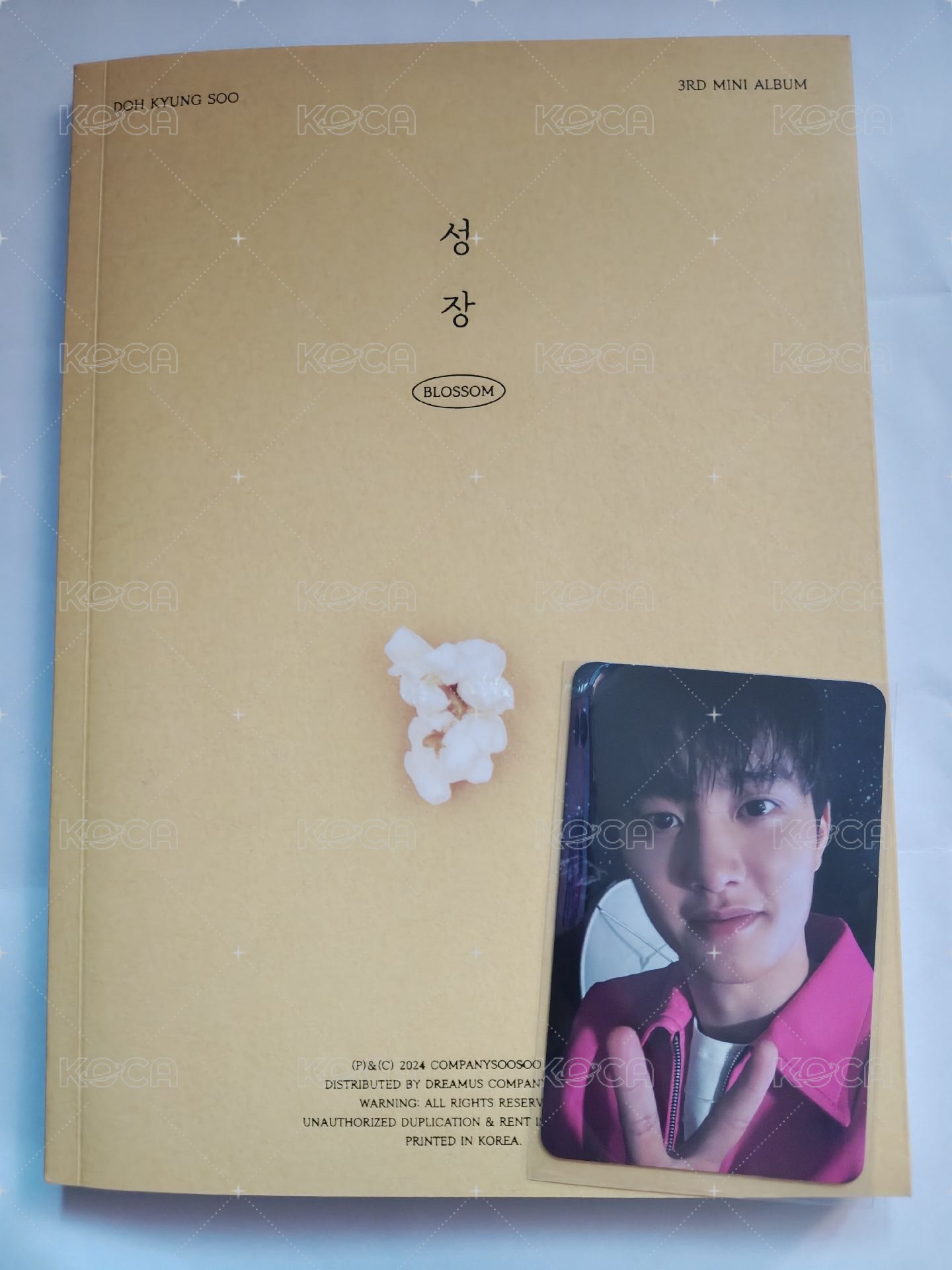 popcorn 