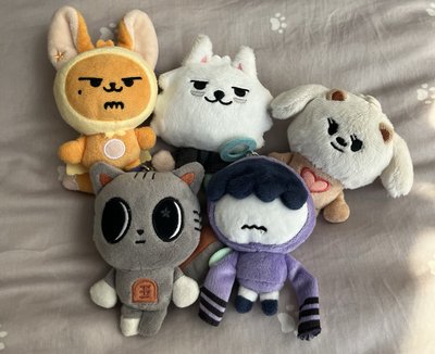 一套原皮+12張綁卡