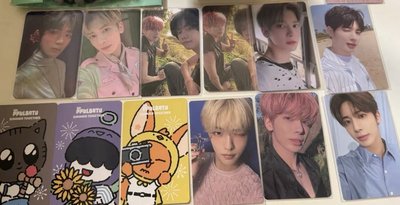 一套原皮+12張綁卡