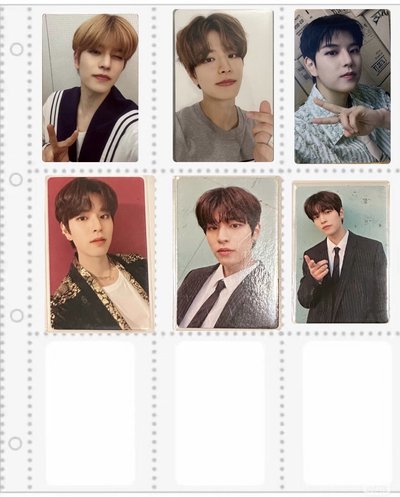 🐶中背小盤（四月初發貨）