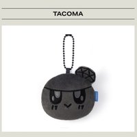 塔科馬黑色蹦蹦