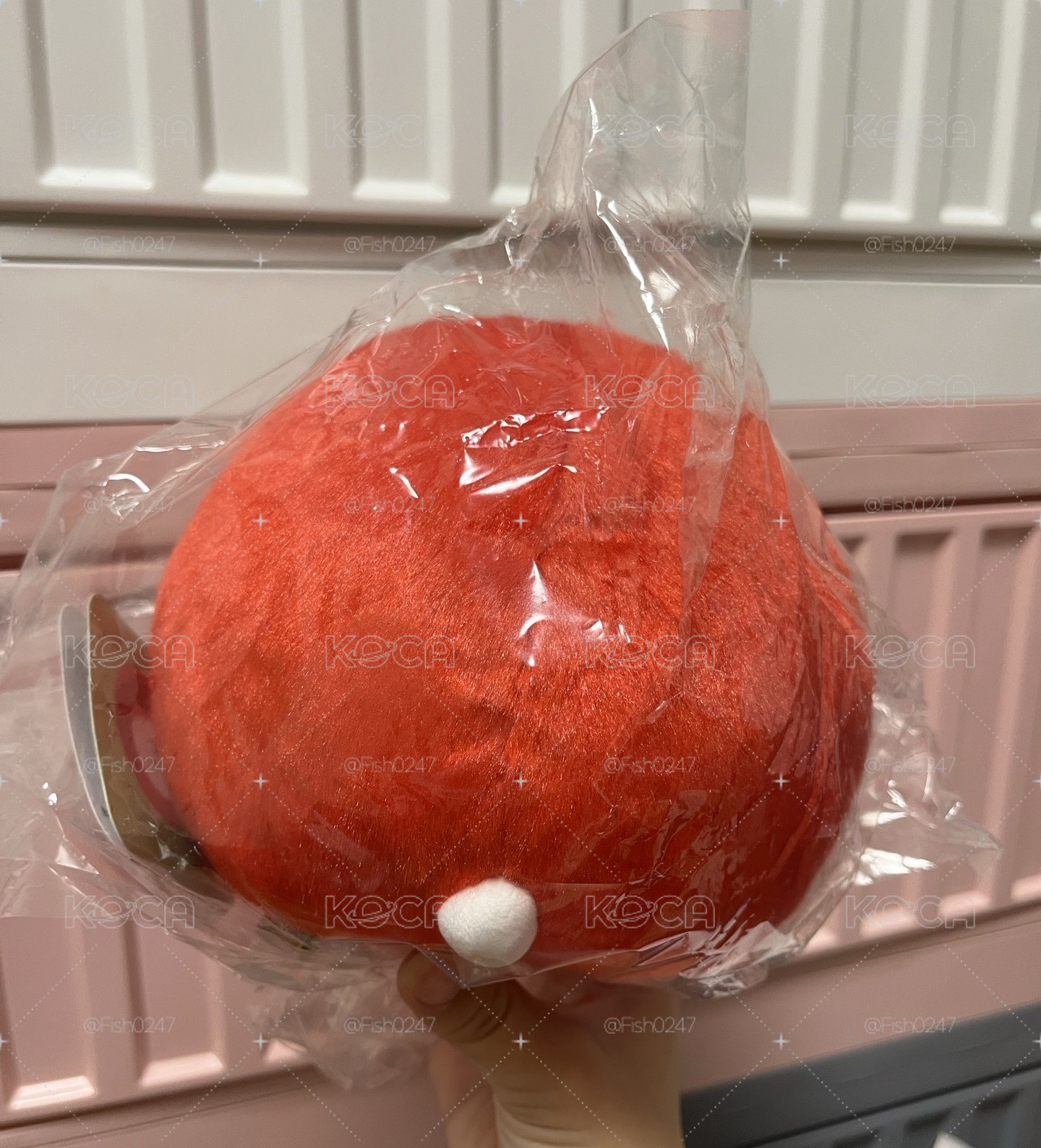 達摩熊