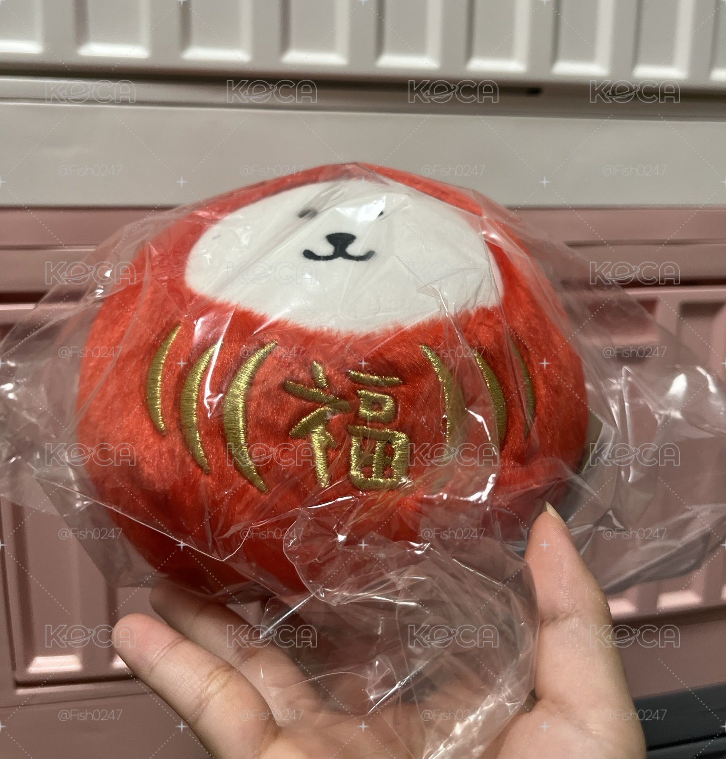 達摩熊