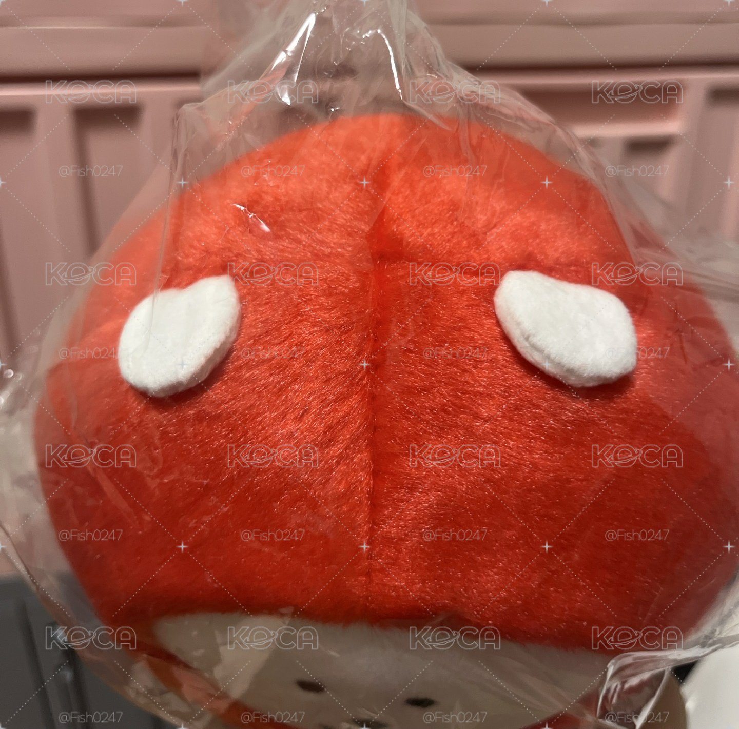 達摩熊