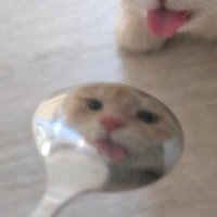 0o