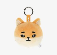 10週年日巡 吊娃 