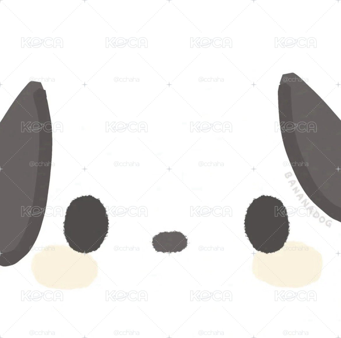 帕恰狗