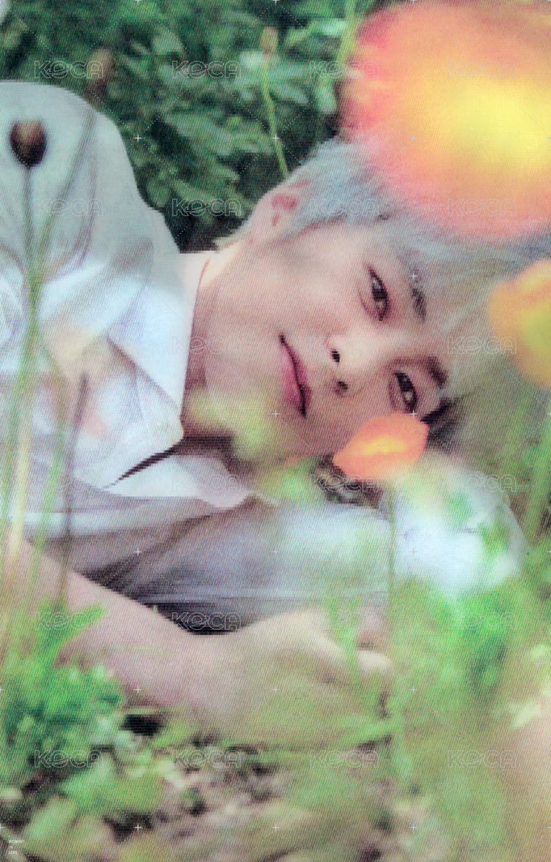 自然樂園 代言卡  背面