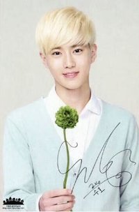 自然樂園 明信片 