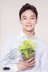 自然樂園 明信片 