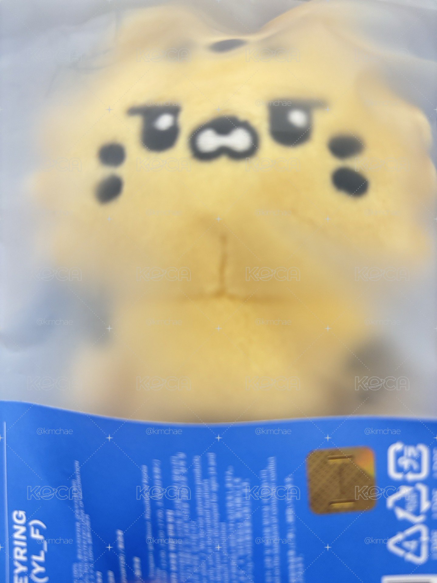 全新金阿奇