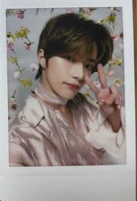 23年京瓷拍立得圭