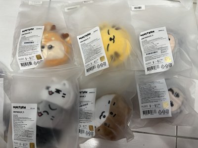 全新Miniteen現貨！各系列都有