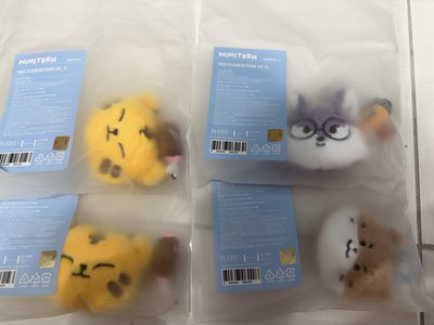 全新Miniteen現貨！各系列都有