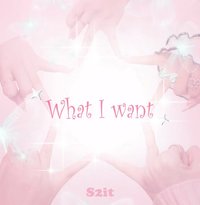 What I want