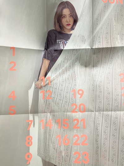 REDVELVET YERI 2018年曆組