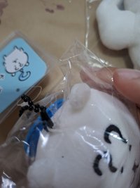 肌肉綁問號 問號頭上有點 （收來就有的）