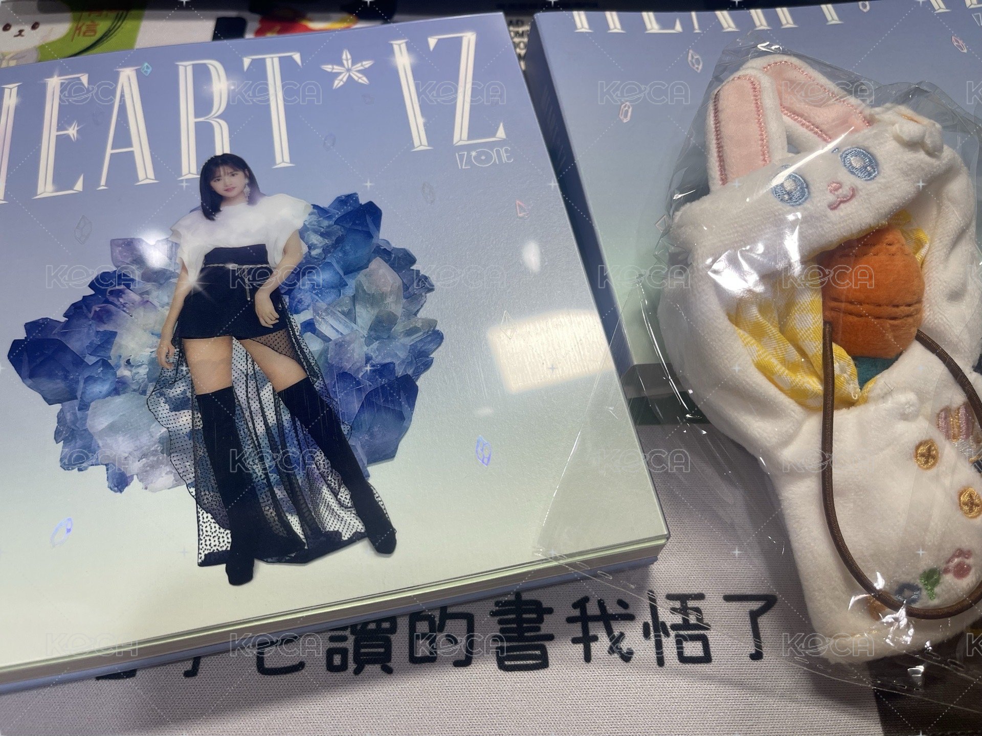 安封（狀態很新！含娃衣）