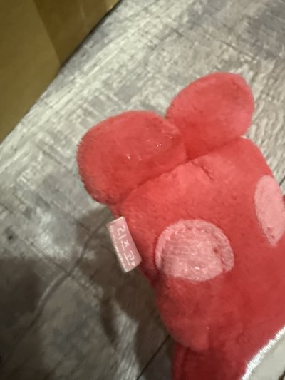 RIIZE 將太郎 栗子扣 情人節10公分娃