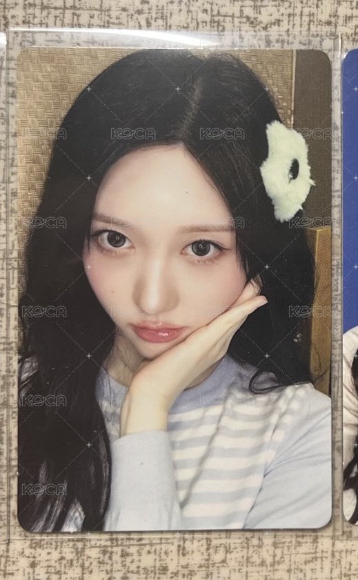 髮夾秋