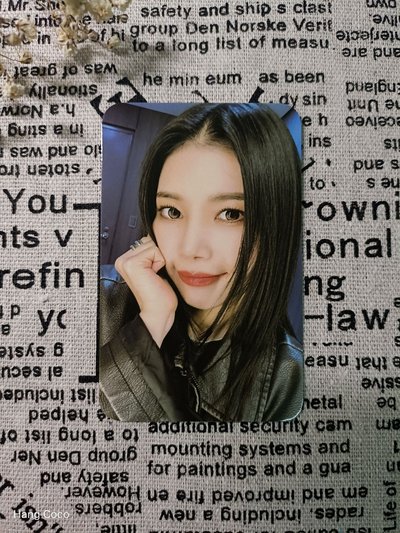 ♪一套兩張♪MAMAMOO+ K-Wonder 場限小卡 🥠可當綁🥠