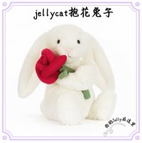 告白首選 抱花兔子🐰🌹（普標）