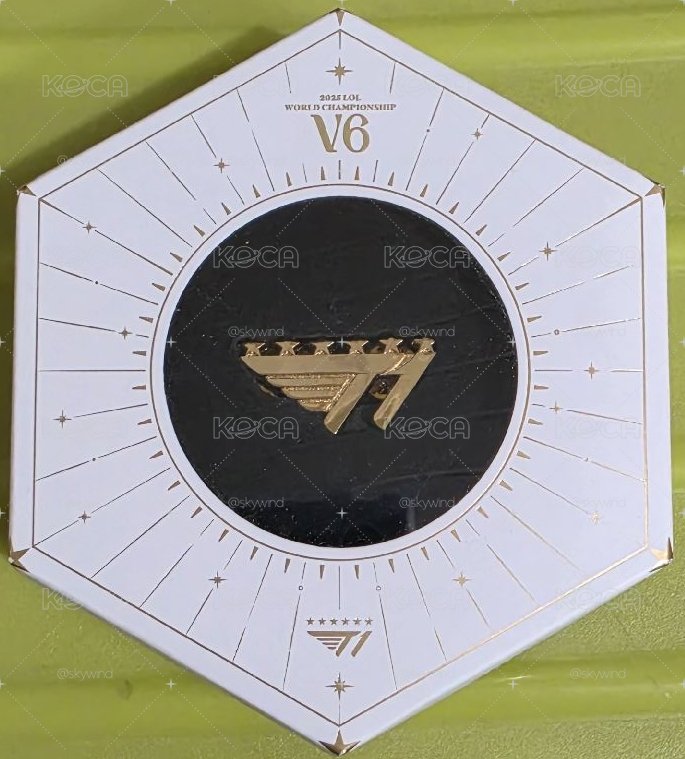 T1 S15 V6冠軍徽章